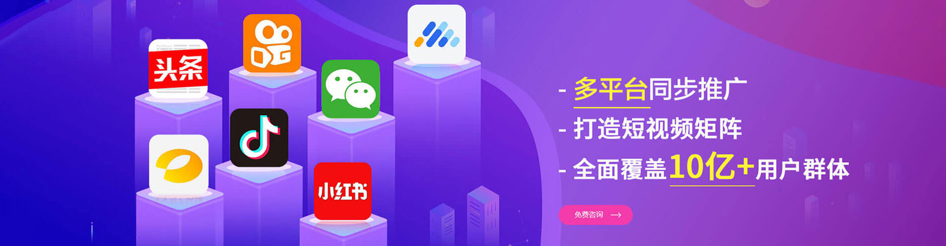 麻豆竞价端口开户